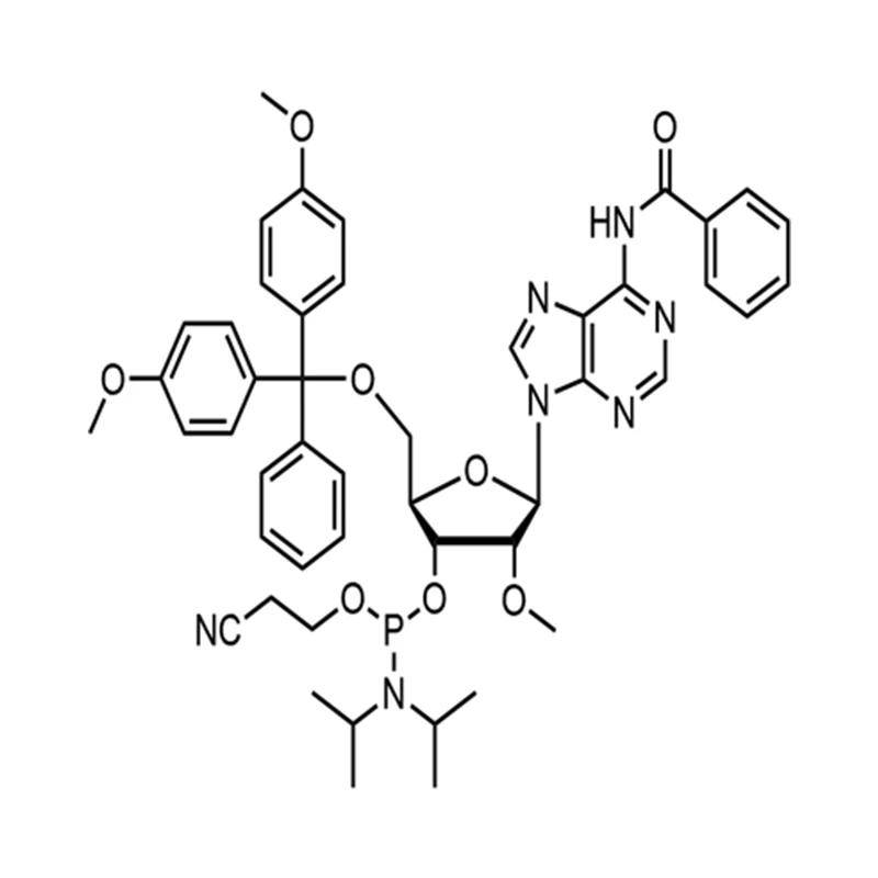 2'-O-Methyl-rA(N-Bz)phosphoramidite