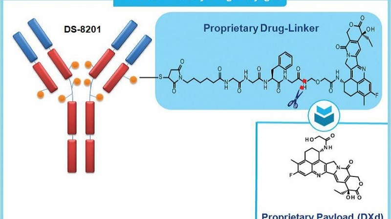 How is MAAA-1162a synthesized?