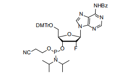 High-Purity 2'-Fluoro Phosphoramidites Supply