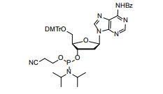 Building the Foundation: Cosperpharma’s Premium Deoxynucleoside Phosphoramidites