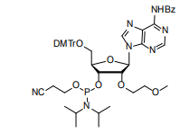 Advanced MOE Chemistry: Cosperpharma’s 2'-O-MOE Phosphoramidites for Next-Generation Therapeutics