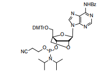 Mastering Thermal Stability: Cosperpharma’s 2'-O-4'-C-Locked Phosphoramidites
