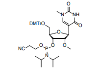 Beyond the Canonical Bases: Cosperpharma’s Pseudouridine Phosphoramidite for Advanced mRNA Therapeutics