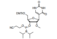 A Versatile Toolkit for RNA Innovation: Cosperpharma’s Expanded Pseudouridine Phosphoramidite Portfolio