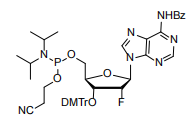Dual-Action Stabilization: Cosperpharma’s 2'-F-Reverse Phosphoramidites