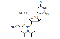 Conformational Lock, Biological Unlock: Cosperpharma’s 2'-FANA Phosphoramidites