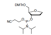 The Essential Toolkit: Cosperpharma’s Spacers and Phosphorylation Reagents